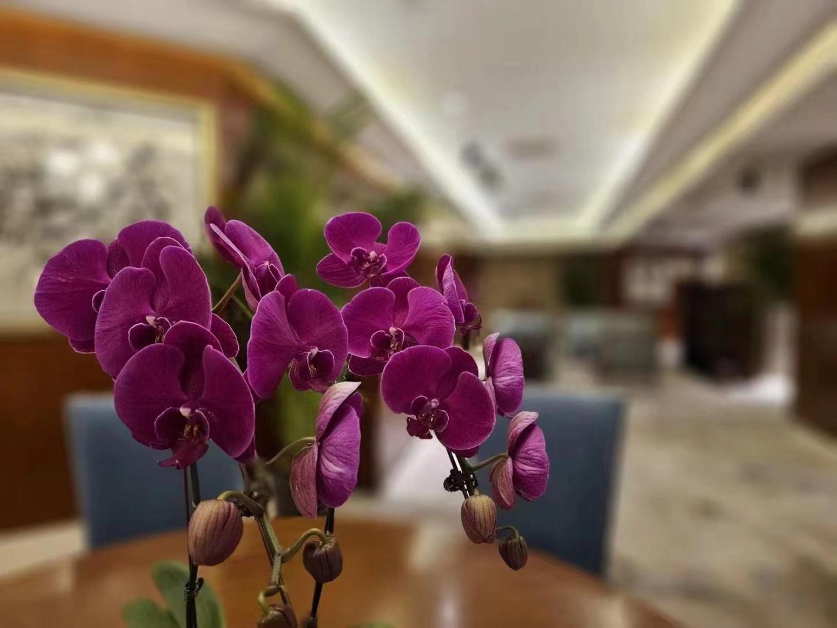Regent Beijing Hotell Exteriör bild
